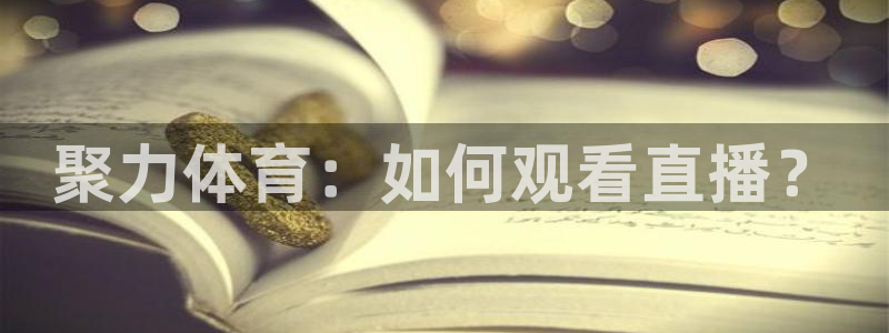 聚力体育：如何观看直播？