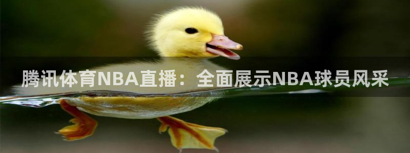 腾讯体育NBA直播：全面展示NBA球员风采